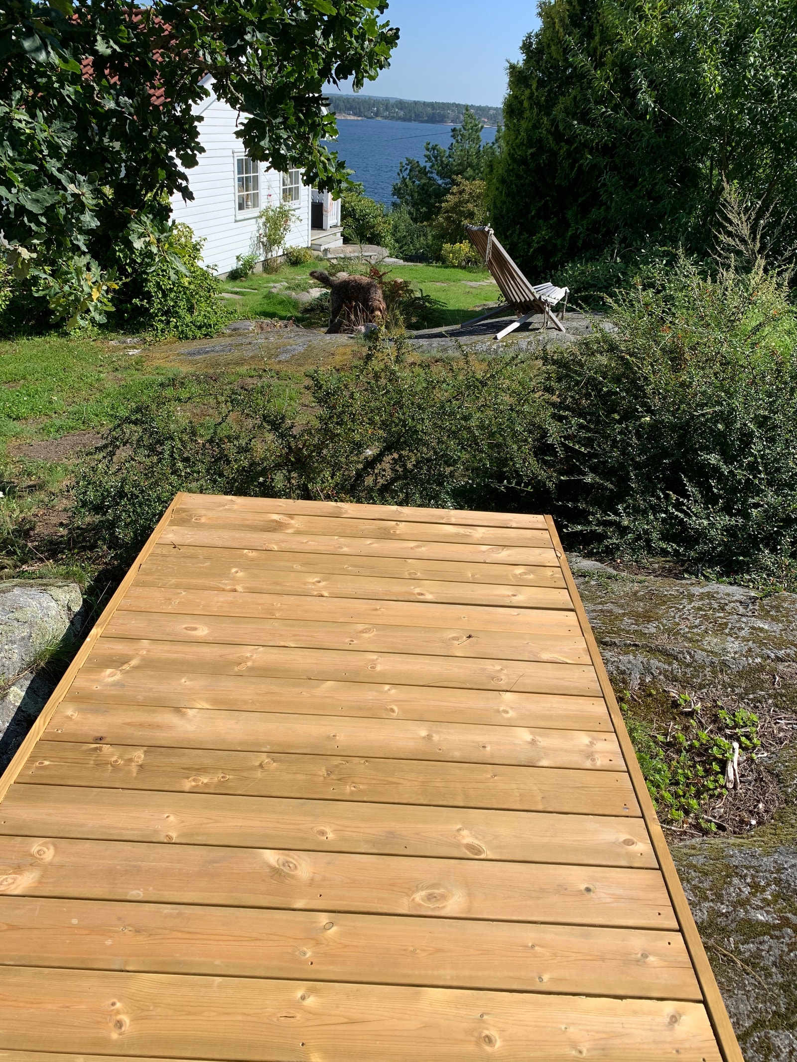 Start dagen med yoga i vakre omgivelser Galleribilde