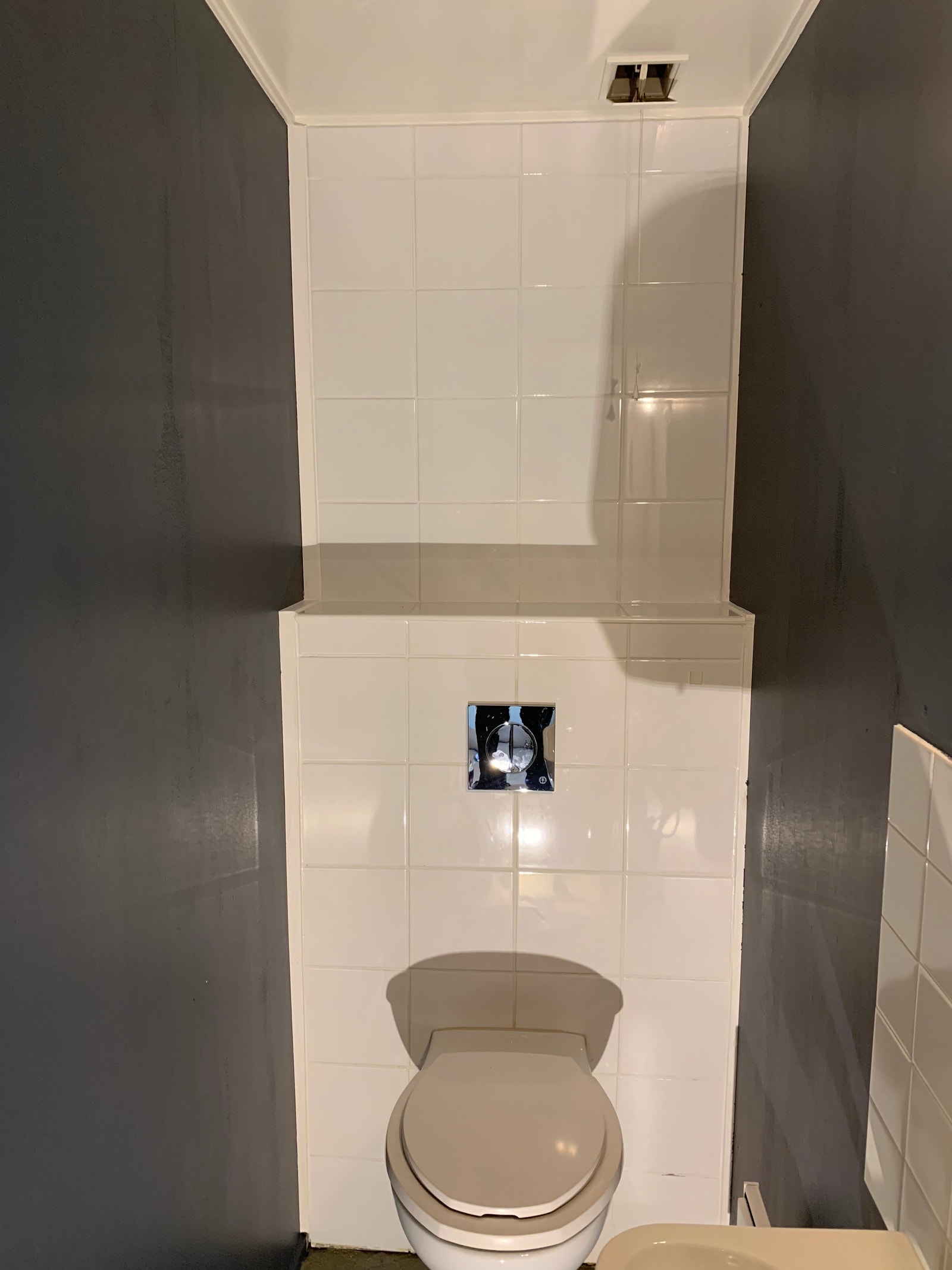 Nyopppusset toalett vegg i vegg med badet. Galleribilde