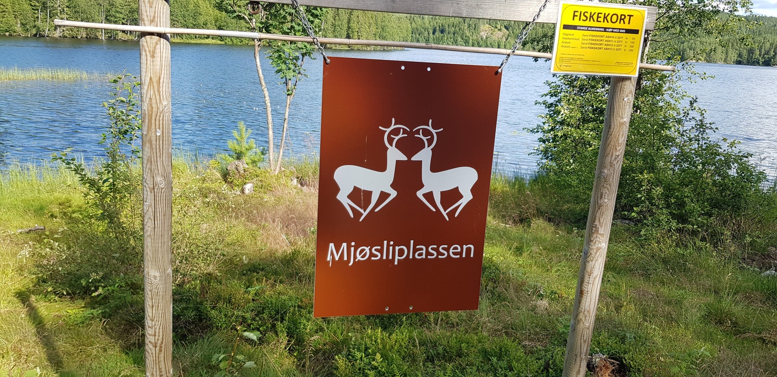 Eget grillplass på Lysjøen for Mjøsli Galleribilde