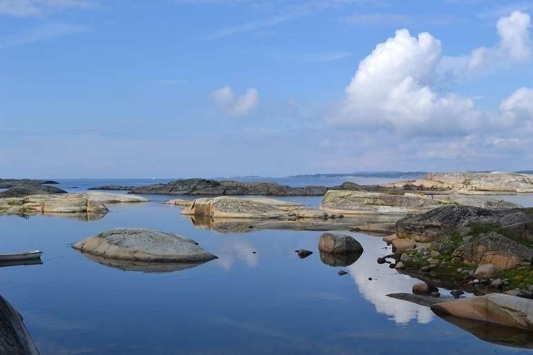 Treidenebukta Galleribilde