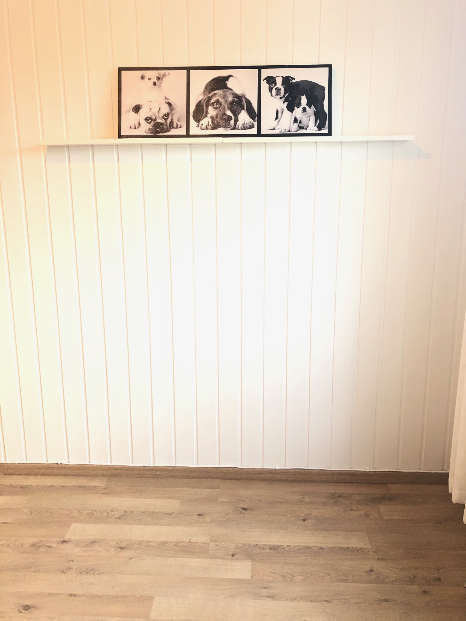 Plass for seng Galleribilde