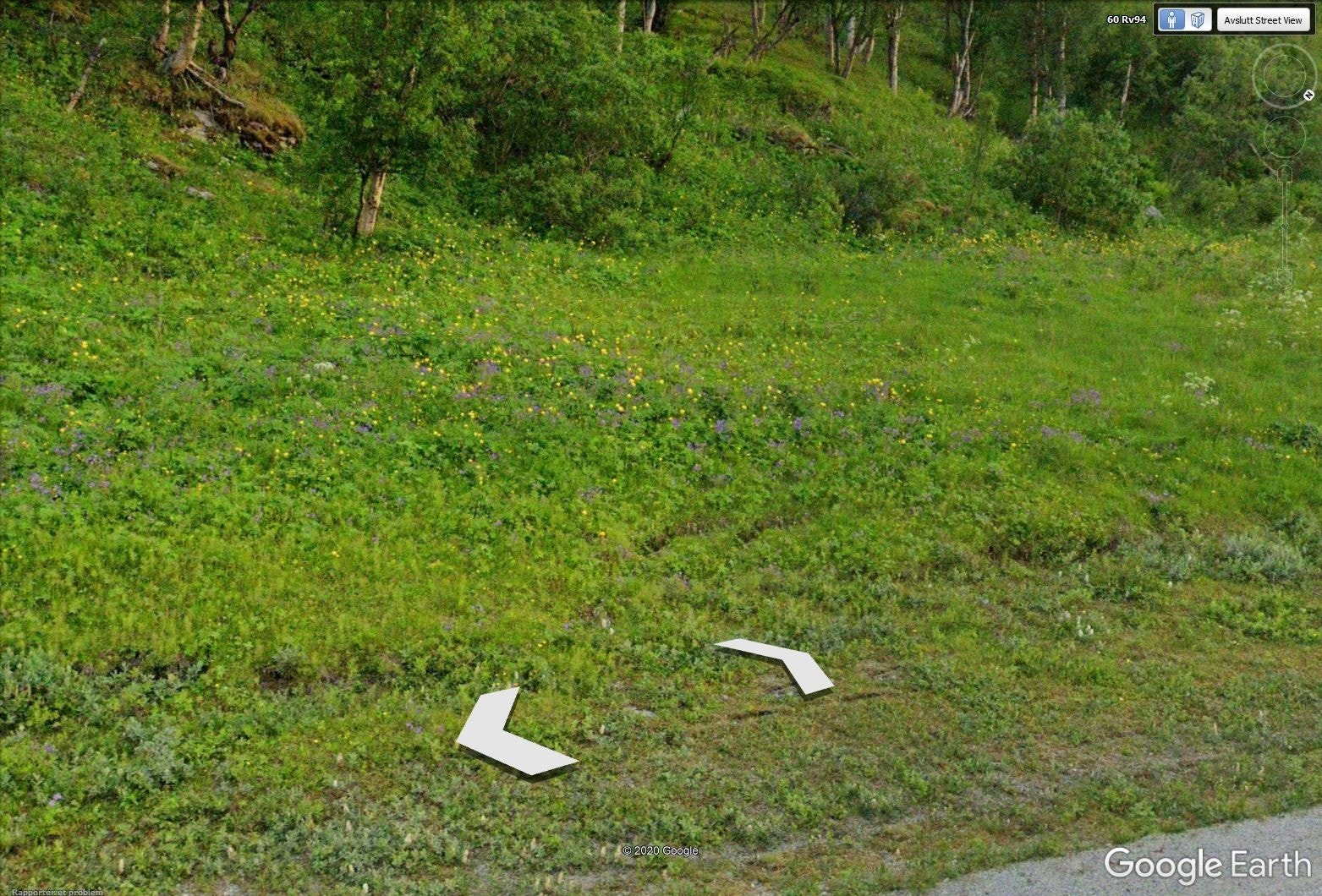 Del av tomt sett fra veien mot fjellet. Galleribilde