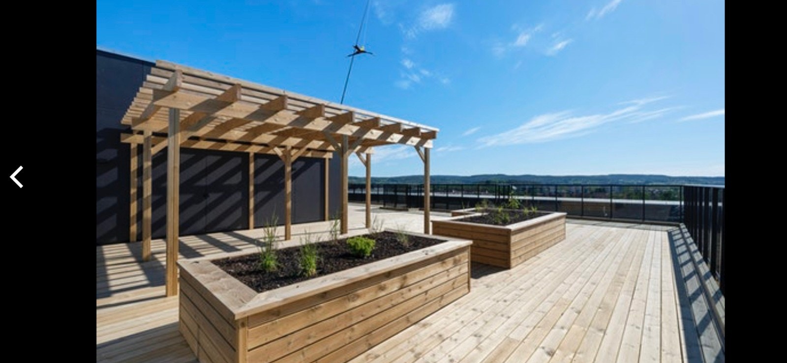 Felles takterrasse Galleribilde