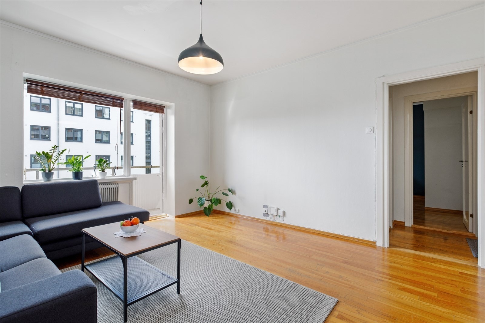Stor stue (kan eventuelt benyttes som soverom) Galleribilde