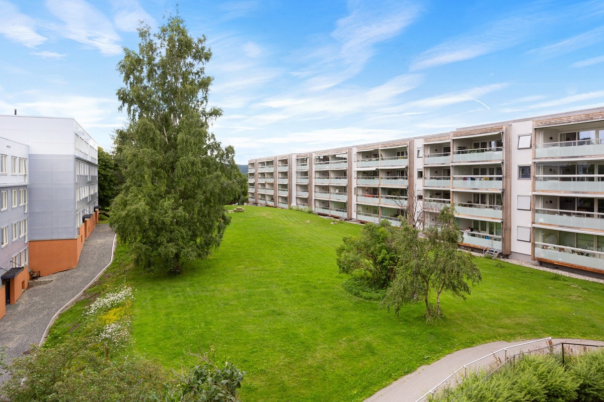 Utsikt mot borettslagets grøntområder og fine solforhold. Galleribilde