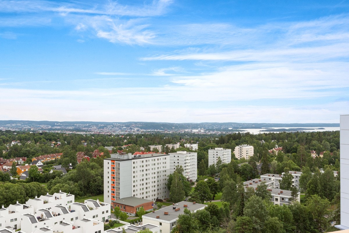 Flott utsikt fra takterrassen. Galleribilde