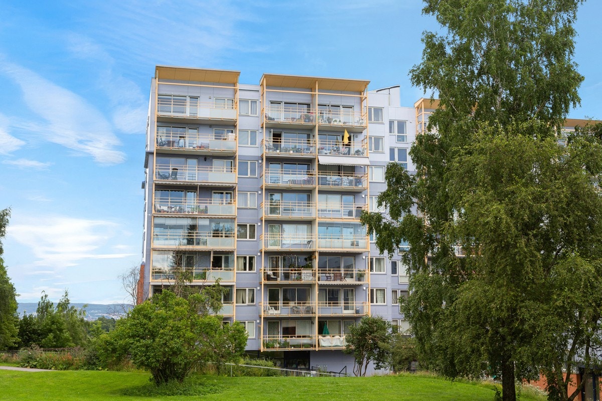 Fasade. Galleribilde