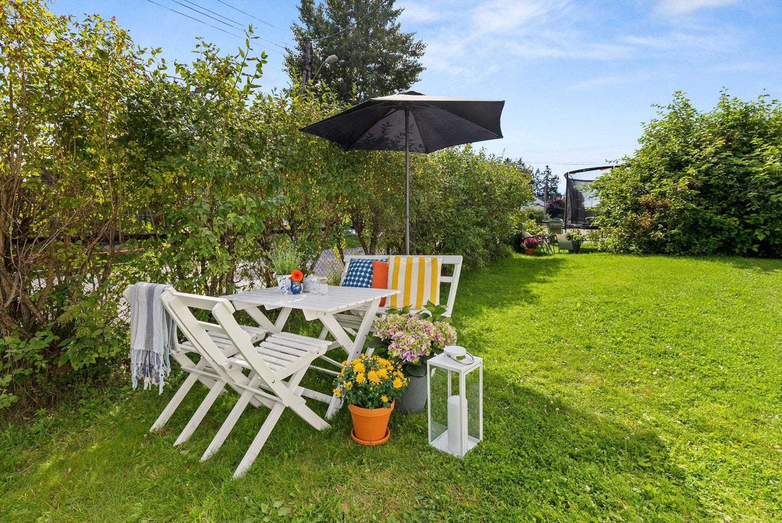 Gode solforhold i vestvendt hage. Galleribilde