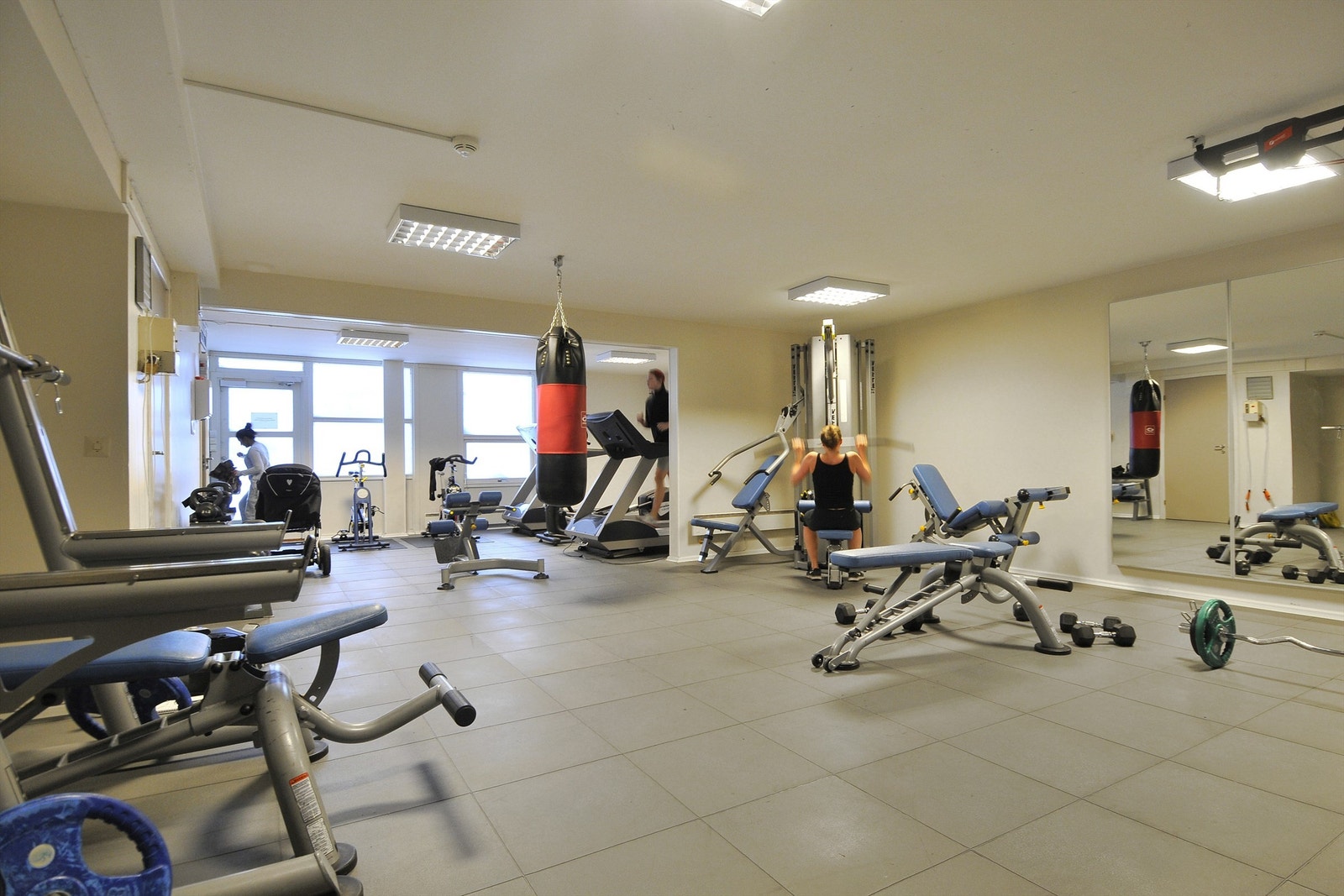 Felles trimrom Galleribilde