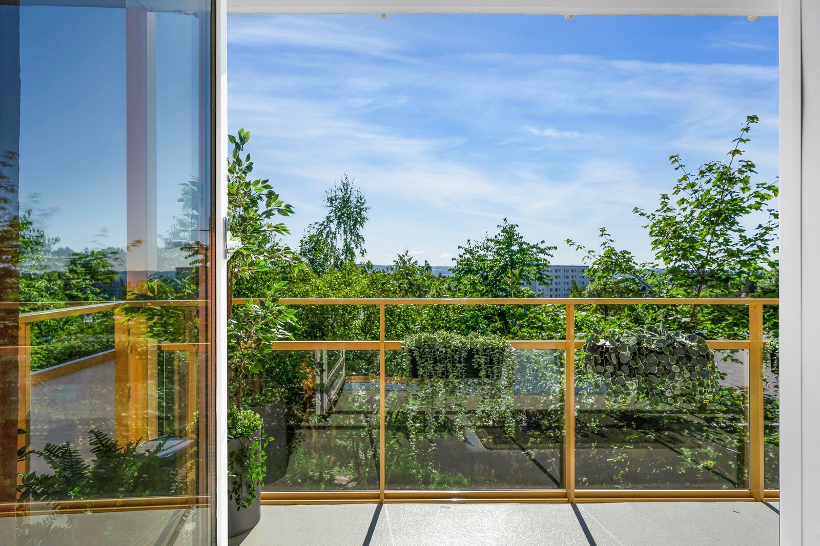 Særdeles usjenert Galleribilde