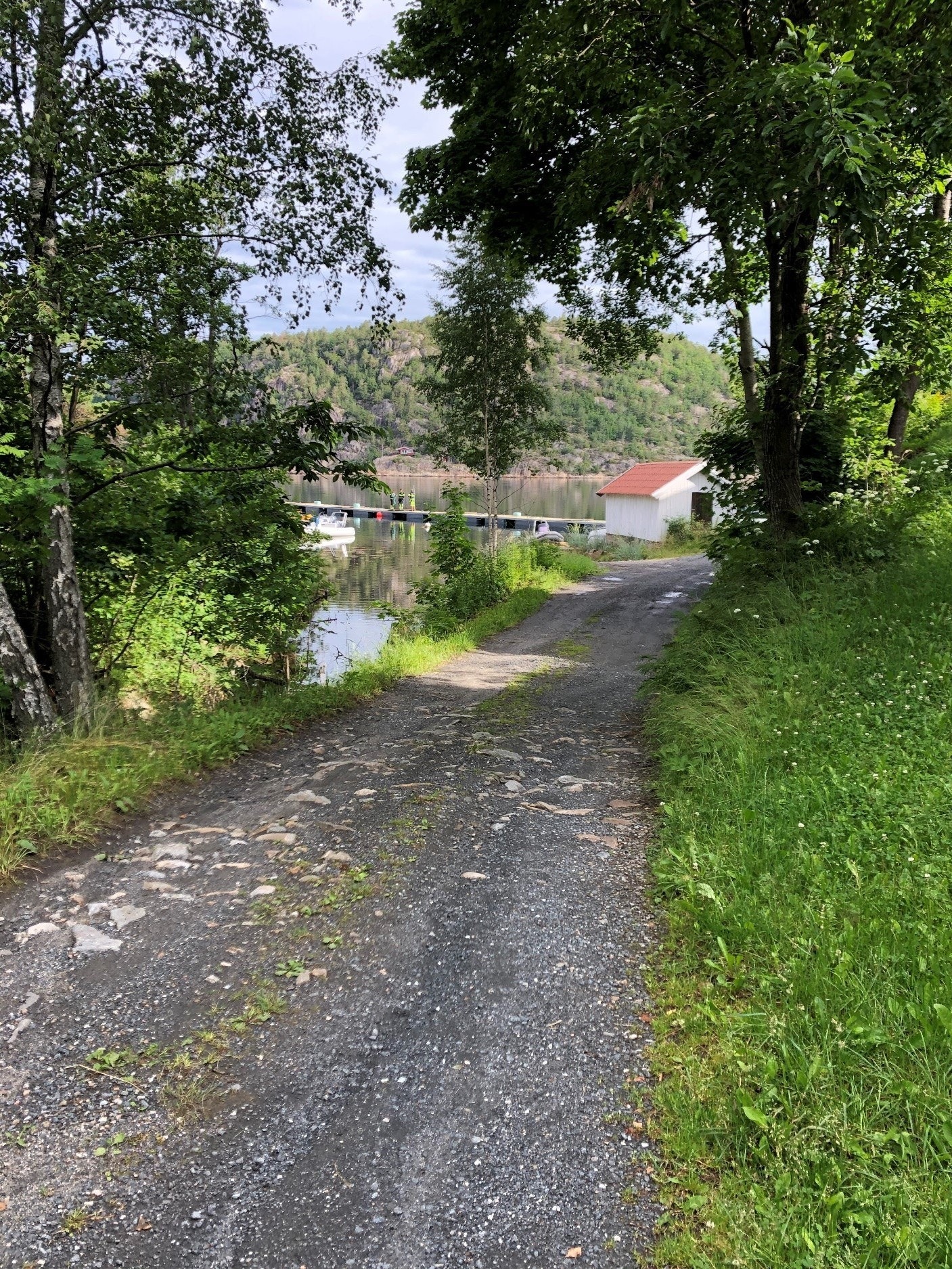 Vei til fellesområde og bryggeanlegg Galleribilde