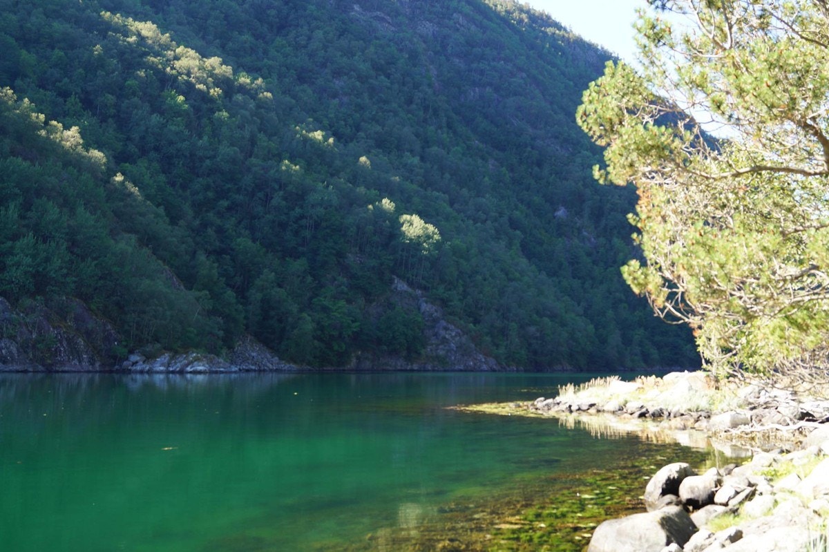 SKJÆRGÅRD Galleribilde