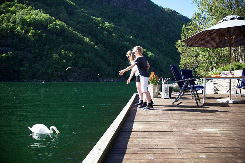 754d704c-c71d-e611-80cf-74e6e2c8dcbf Galleribilde