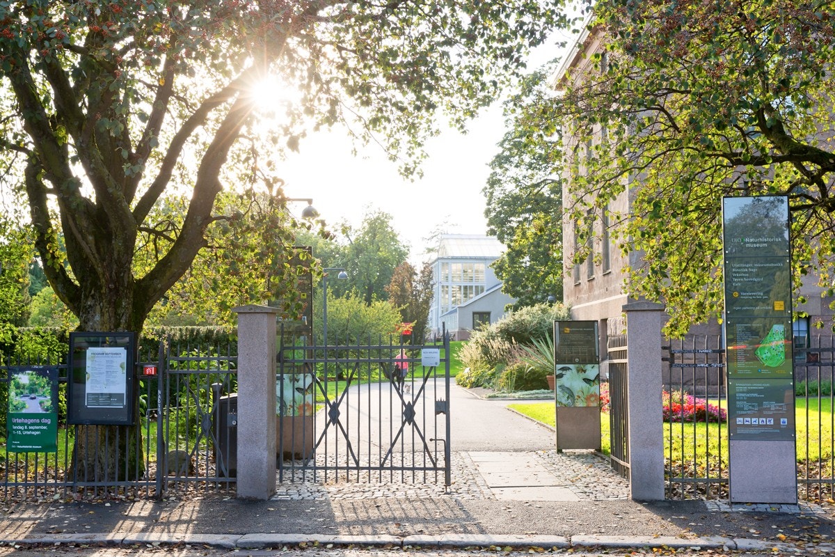 Botanisk hage. Galleribilde
