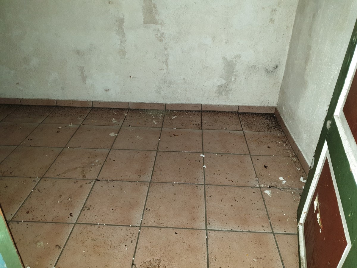 Kjeller med fuktighet Galleribilde