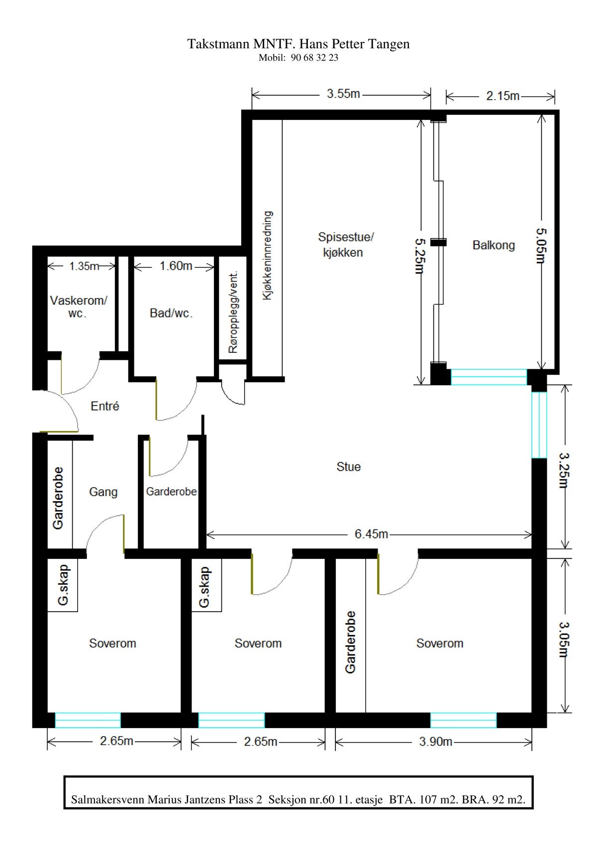 Plantegning Galleribilde