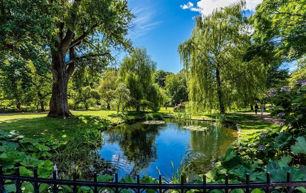 Idylliske botaniske hage er kun en kort spasertur unna - absolutt verdt å besøke! Galleribilde