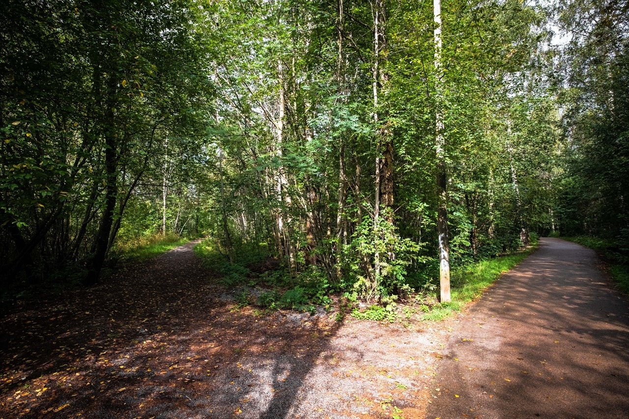 Bo rett ved Mærradalen - med uendelige turmuligheter sommer som vinter. Galleribilde