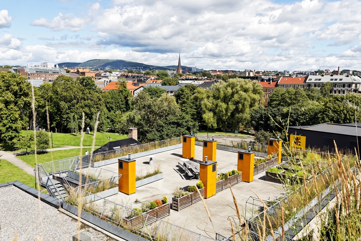 Sameiets felles takterrasse med fantastisk utsikt over Oslo by Galleribilde