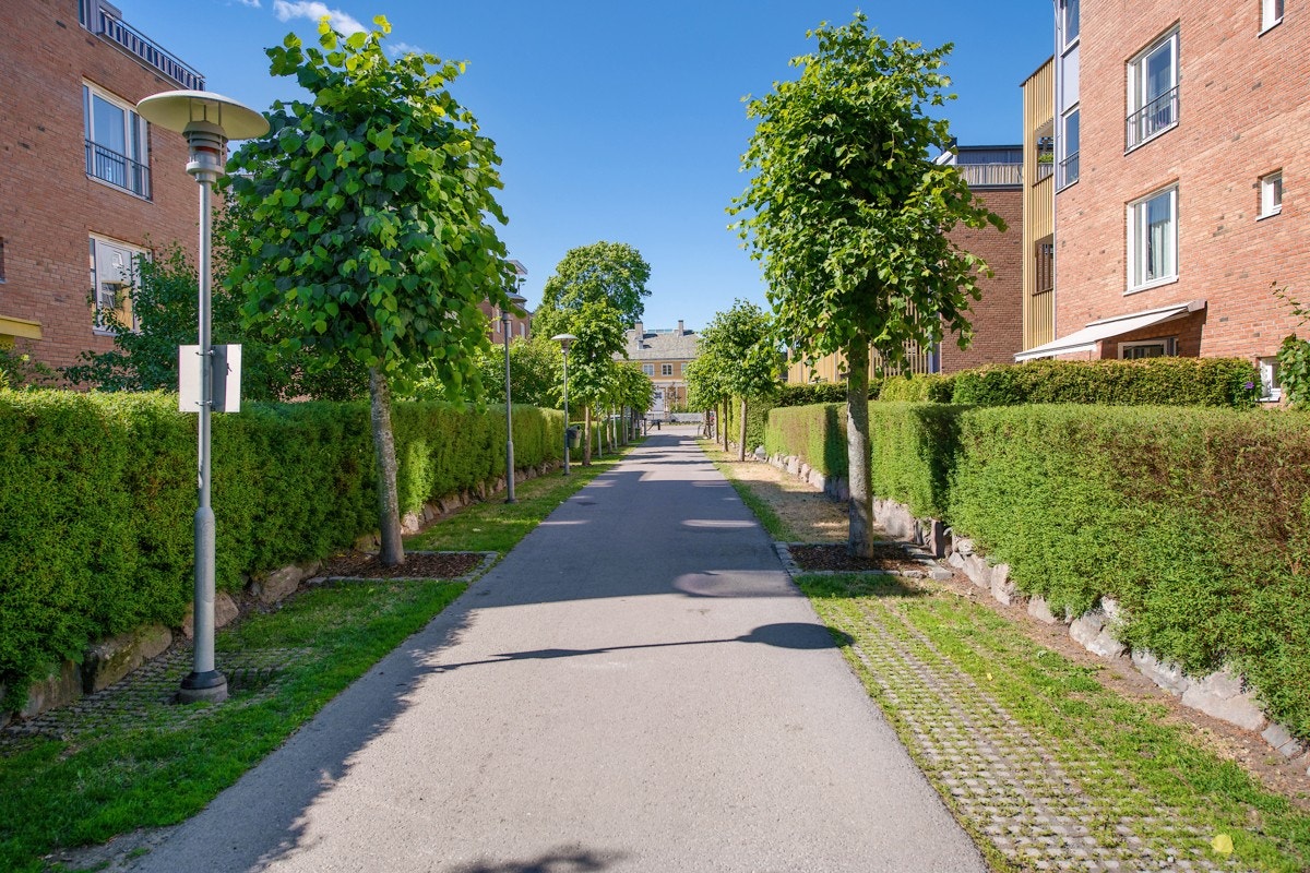 Flat opparbeidet tomt med flotte plenarealer med asfalterte internveier og diverse beplantninger. Galleribilde
