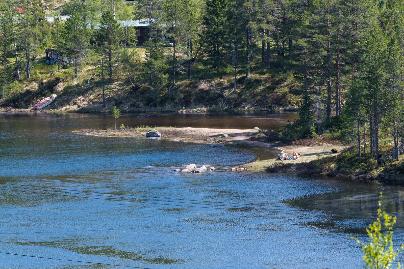 Bilde fra nærområde Galleribilde