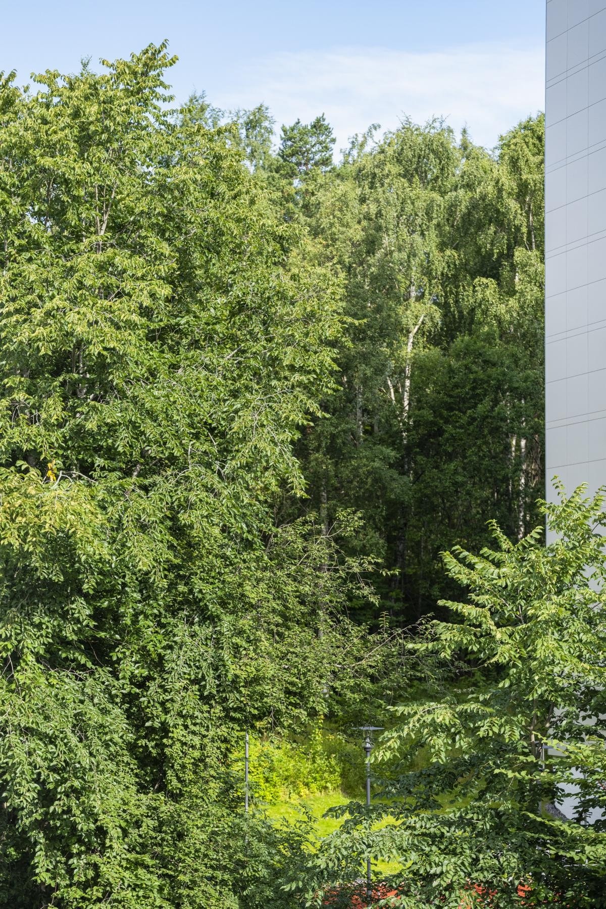 Det er kort vei til flotte tur- og rekreasjonsområder i nærmiljøet. Galleribilde