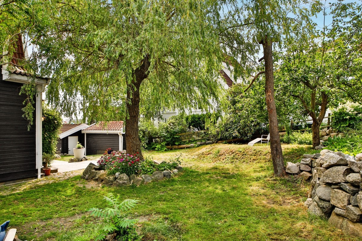 -med ettermiddagssol Galleribilde