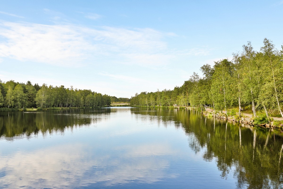 2. dam hvor endene kan mates og solen kan nytes Galleribilde