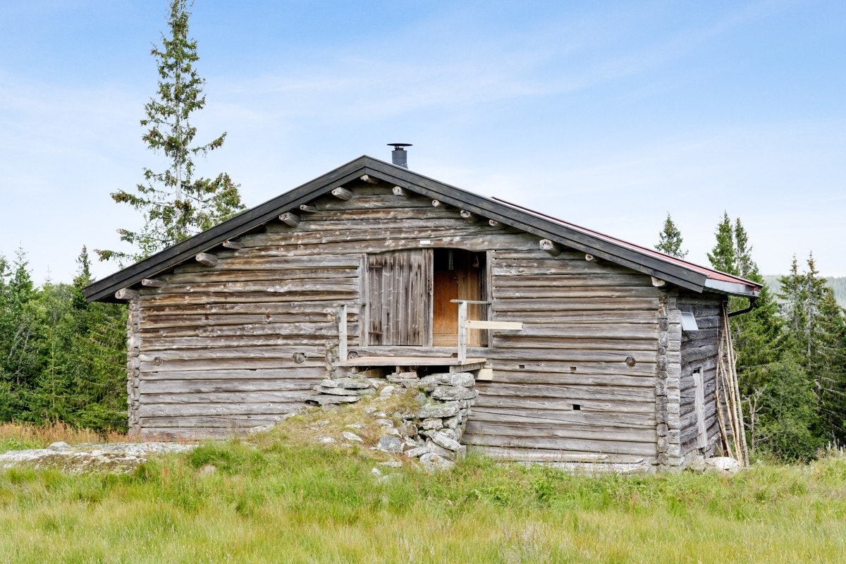 Sølsett sæter Galleribilde