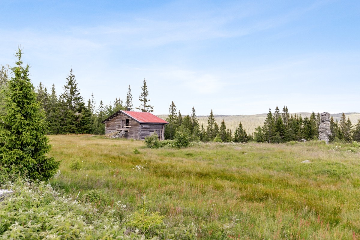 Sølsett sæter Galleribilde