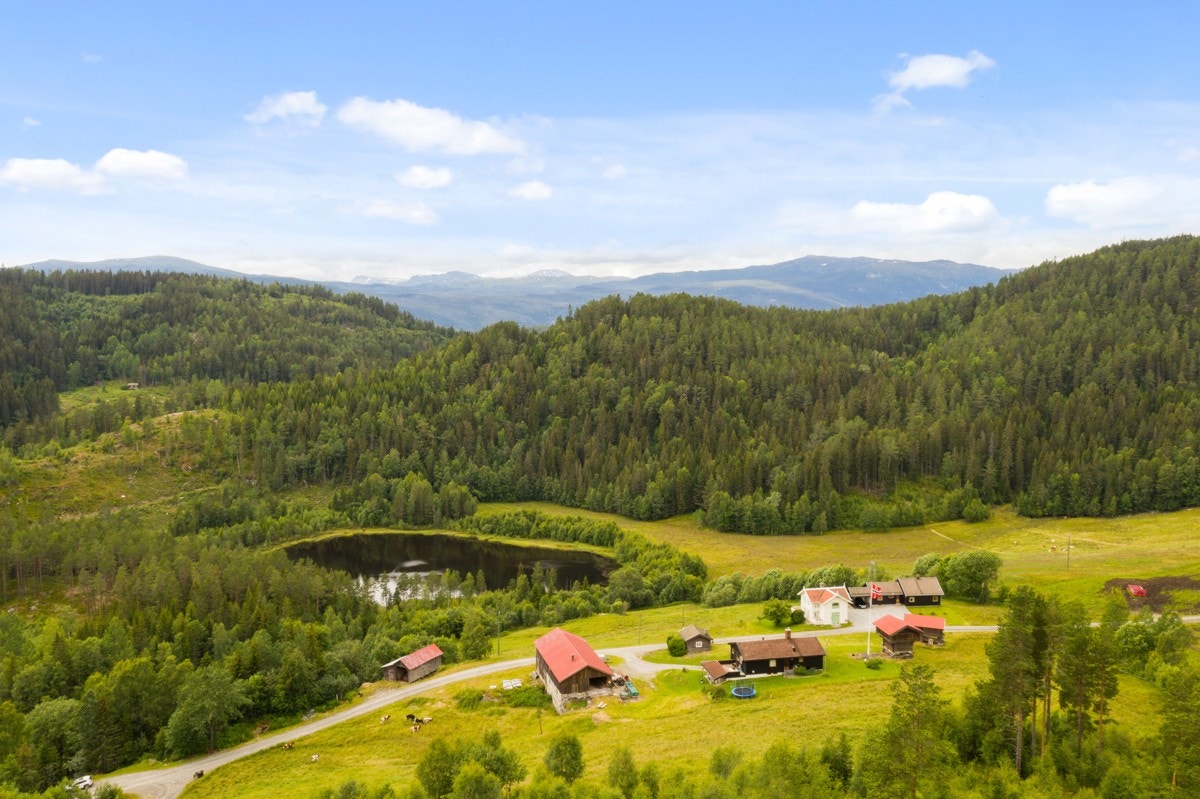Grov Søndre Galleribilde