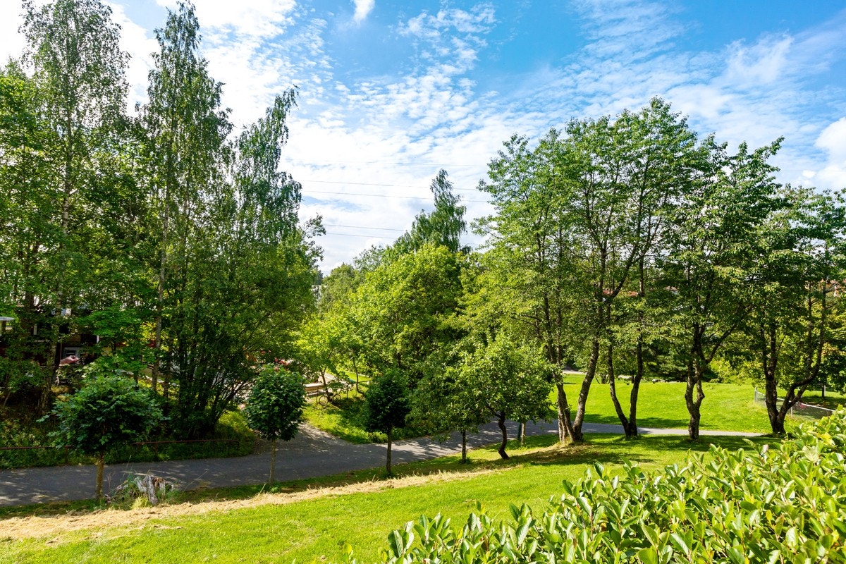 Direkte adkomst til tur- og treningsmuligheter. Galleribilde