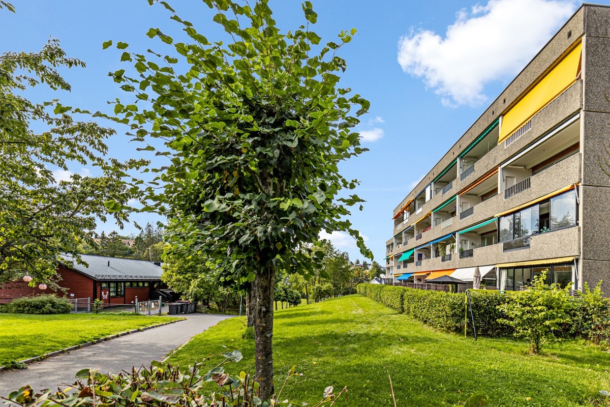 Store rom mellom byggene i Meklenborg Borettslag Galleribilde