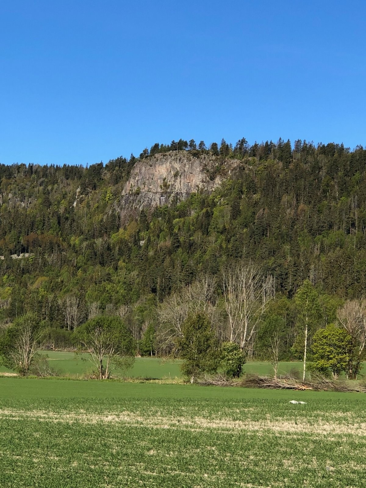 Gråmagan. Et fint turmål midt mellom Søndre og Nordre Kolsåstopp. Galleribilde