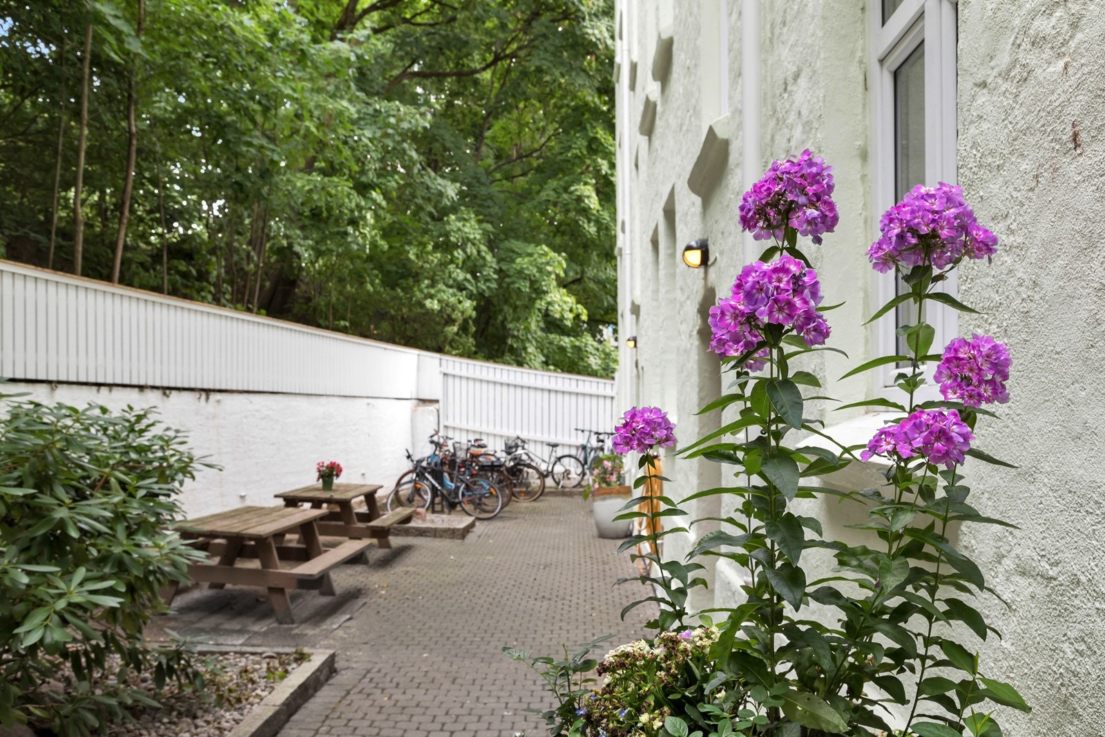 Hyggelige fellesområder med flott beplantning og sittegrupper Galleribilde