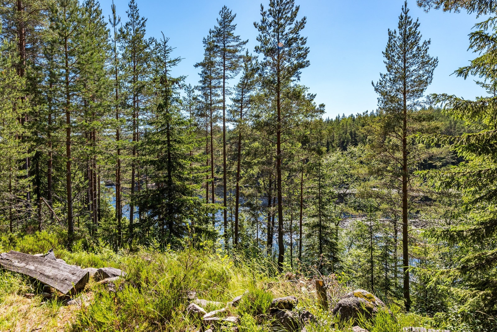 Utsikt mot populære Hvaltjern Galleribilde