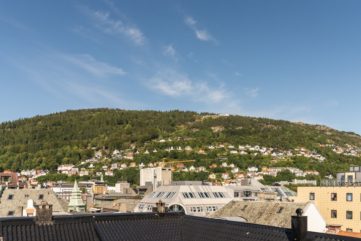 Utsikt mot Fløyen. Galleribilde
