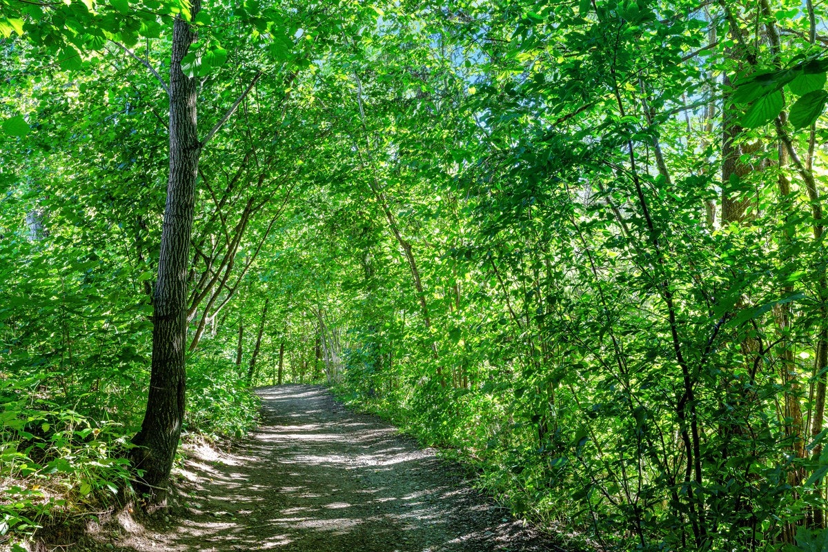 Rett utenfor døren finner man en glimrende start på turen, med en flott sti langs Lysakerelven. Galleribilde
