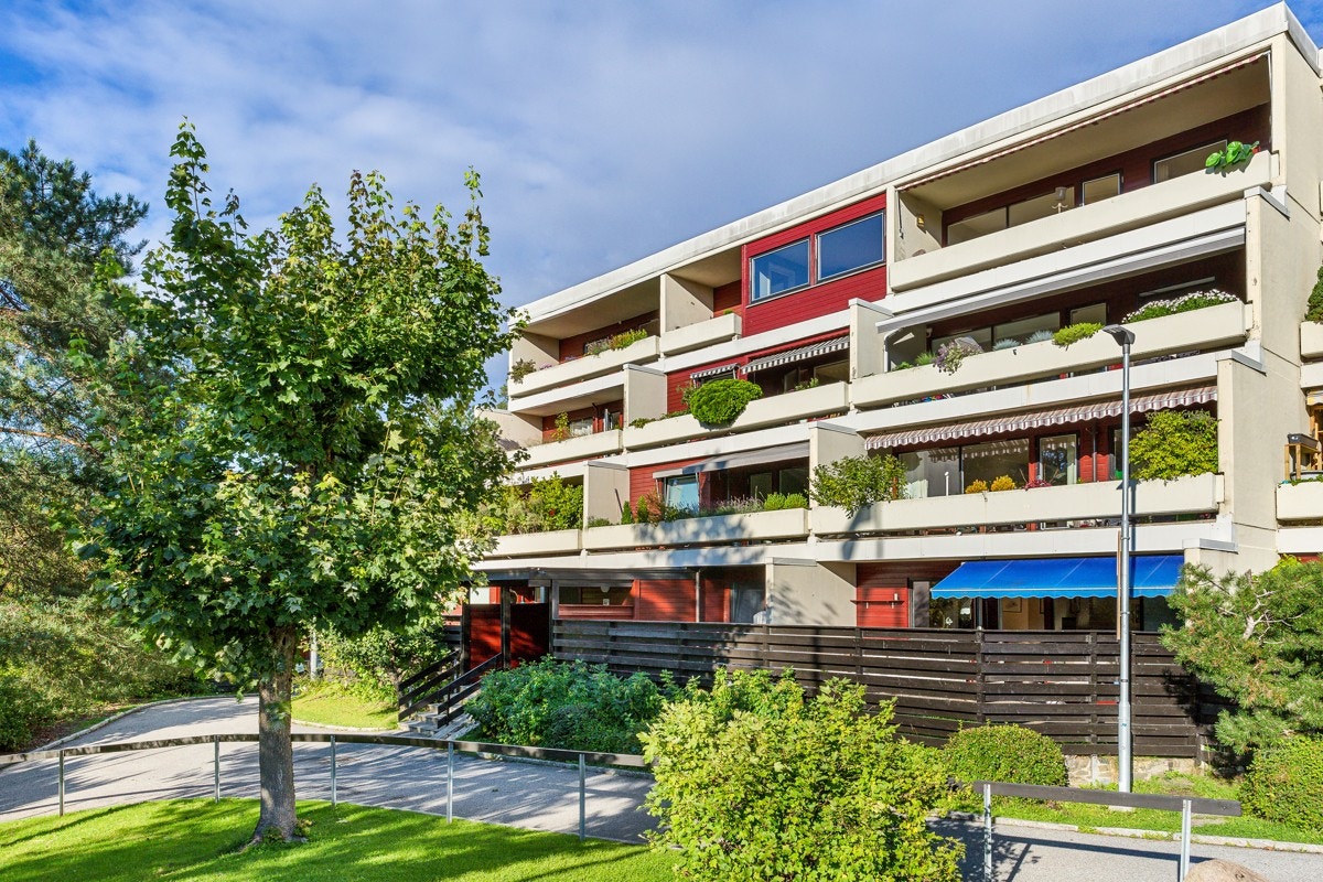 Fasade. Galleribilde