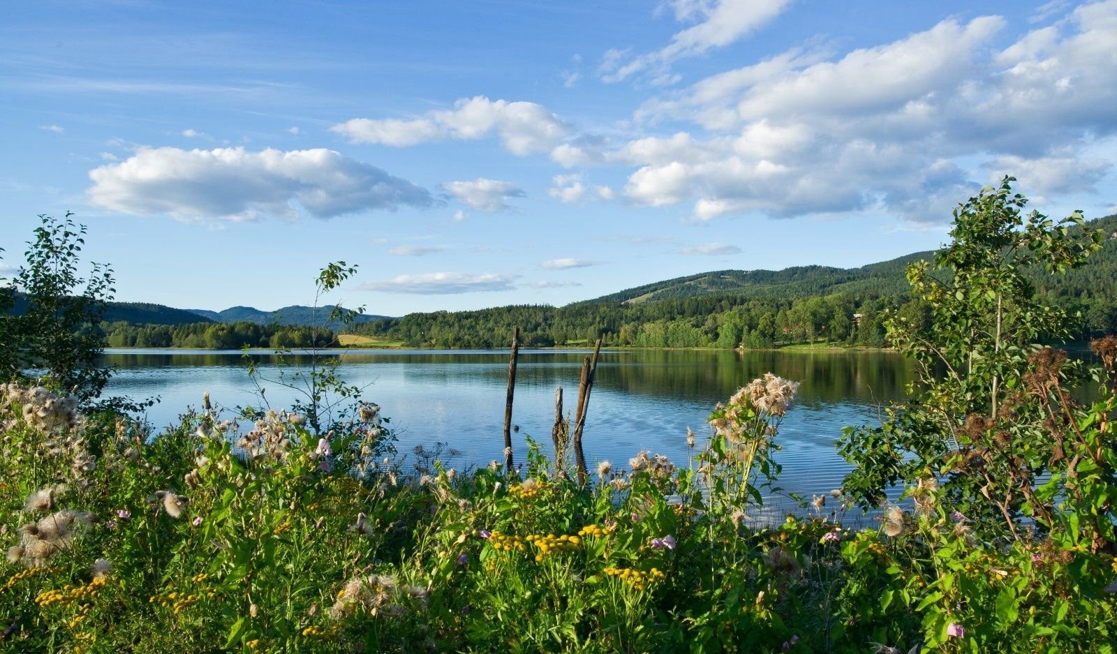 Bogstadvannet Galleribilde