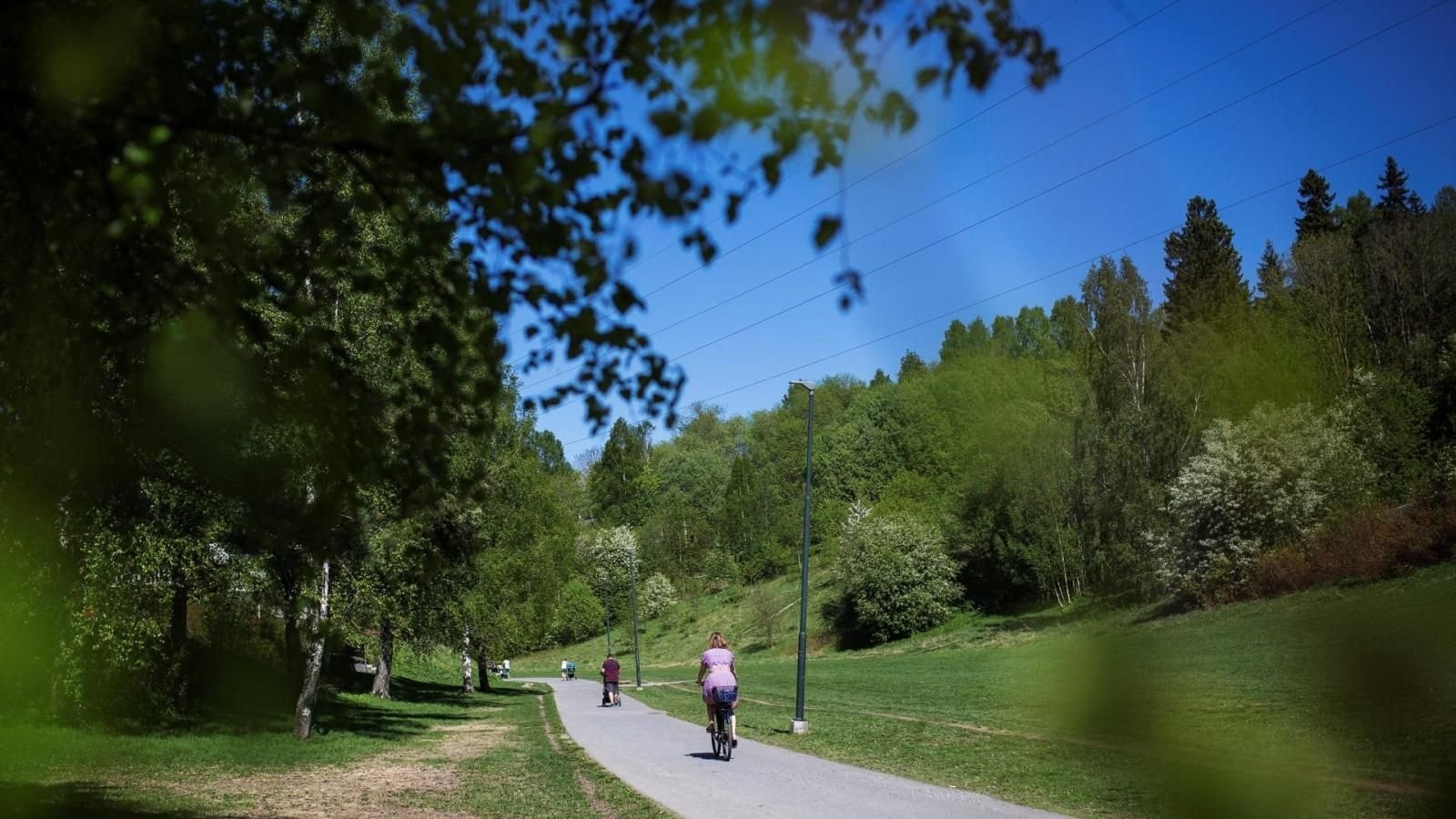 Hovseterdalen Galleribilde