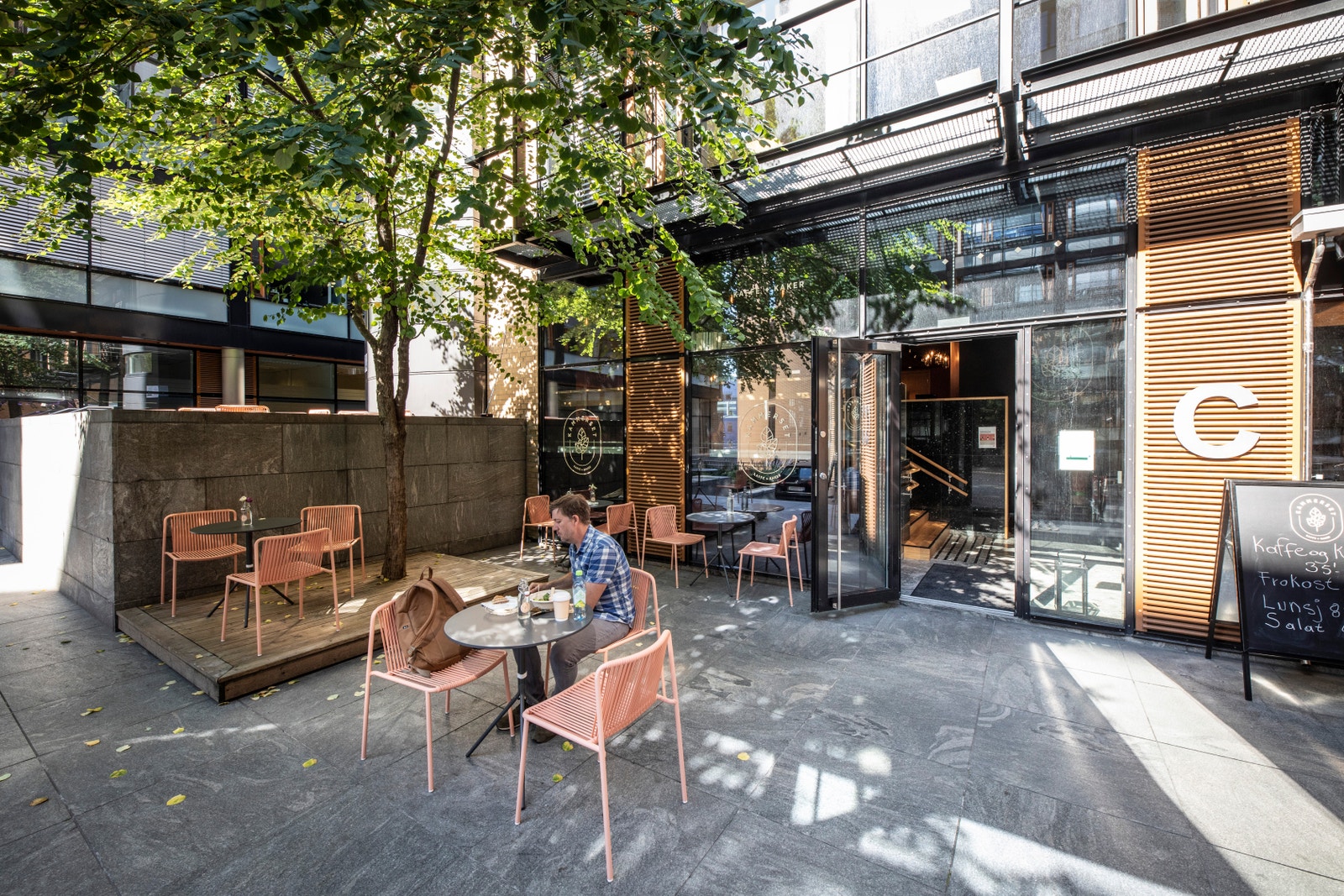 Nyt lunsjen ute i skyggen av det flotte treet Galleribilde