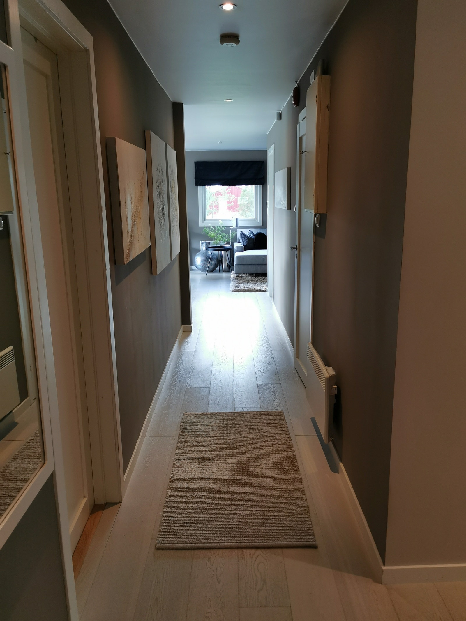 Hall enebolig Galleribilde