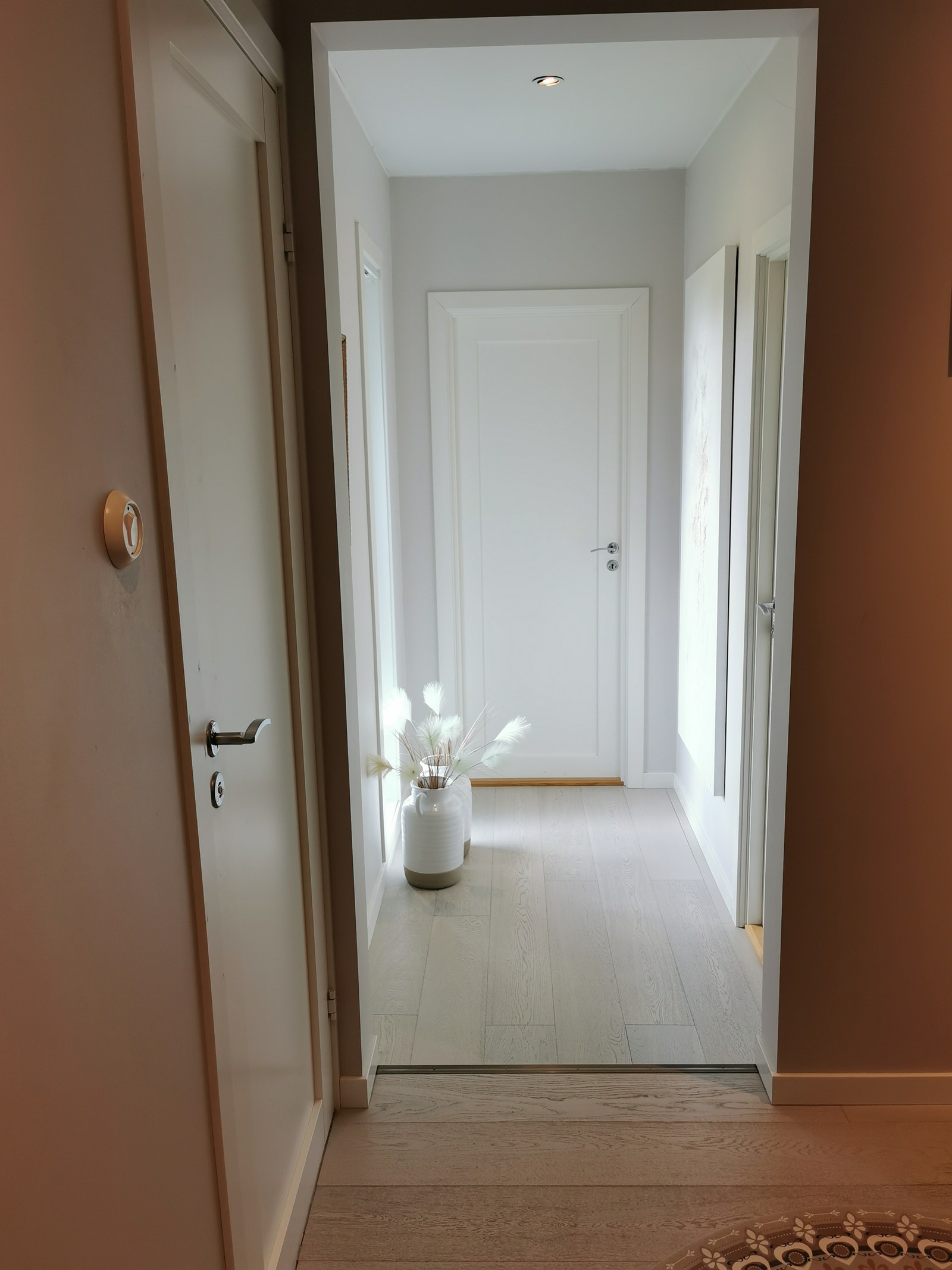 Hall enebolig Galleribilde