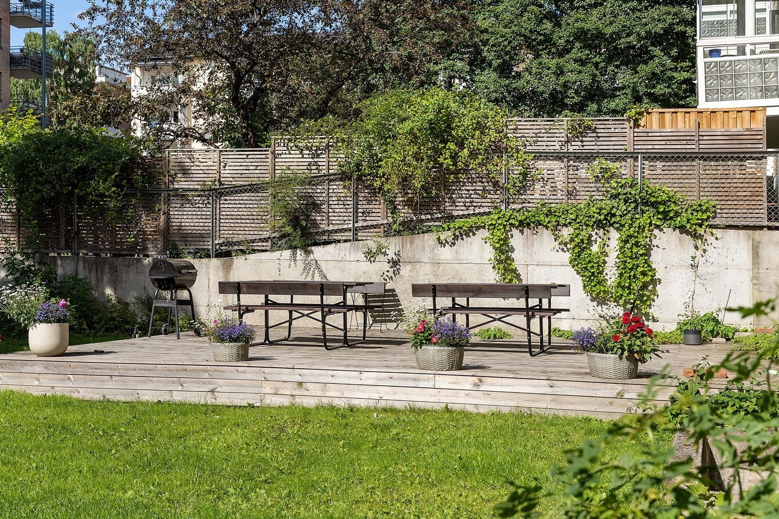 sommer sitte plass Galleribilde