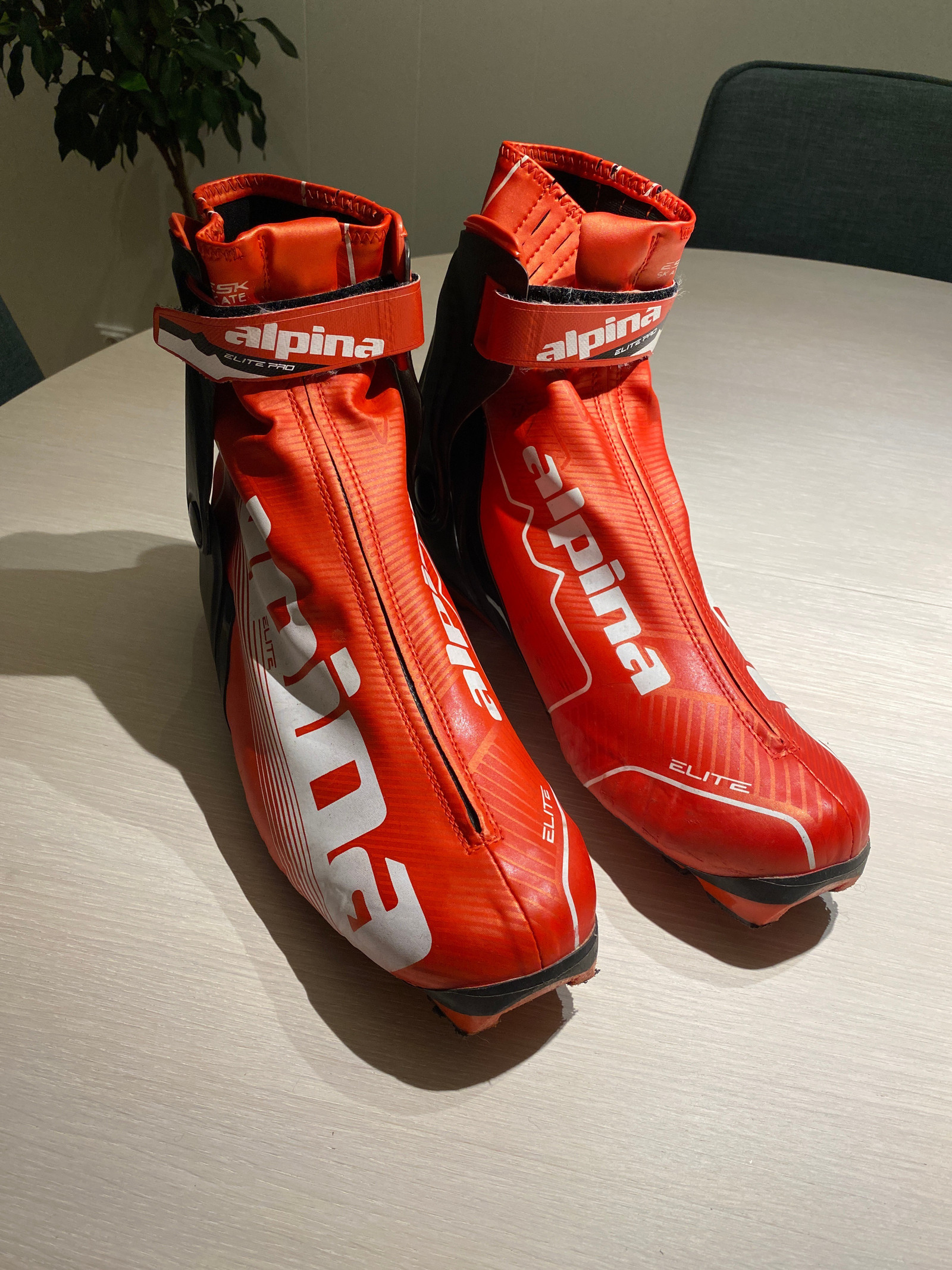 Alpina ESK Skate, skøytestøvel str 47 | FINN.no Alpina CSK Skate skøytesko 1920 | Oslo Sportslager