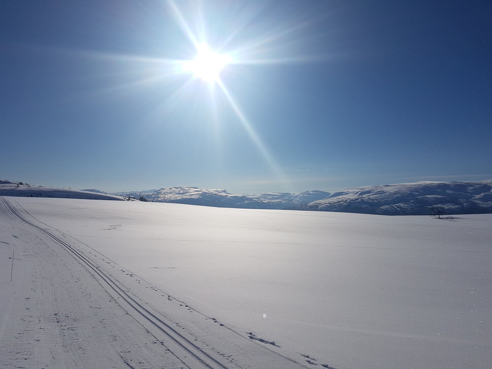 Flotte langrennsløyper på toppen av Ekspressheisen til Hangurstoppen. Galleribilde