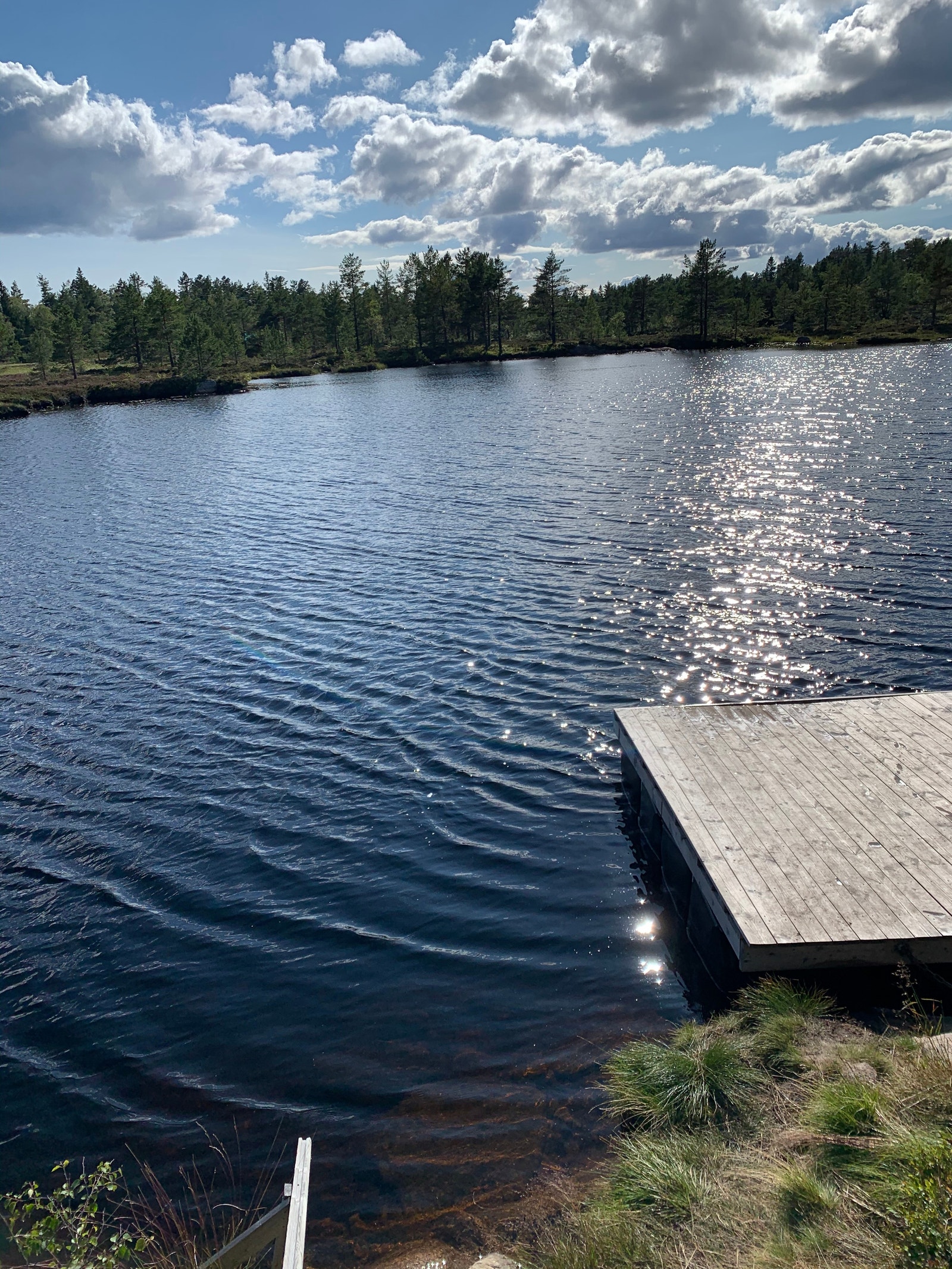 Badevann og fiskemuligheter i nærområdet Galleribilde