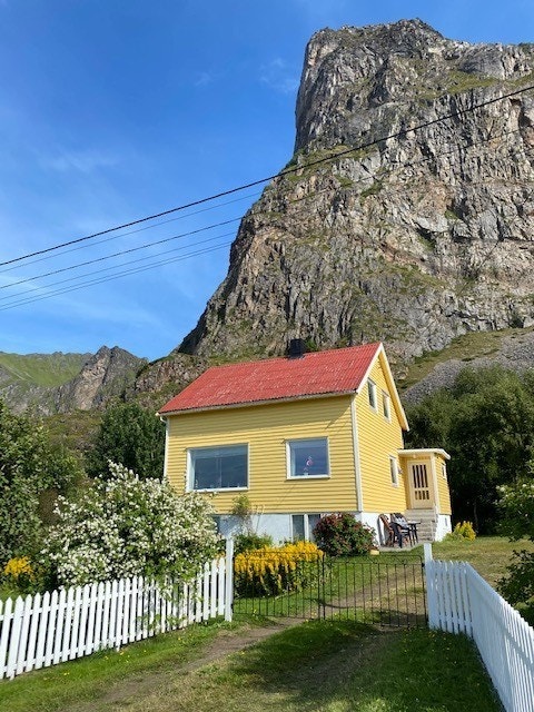 Fjellet Nyken i bakgrunnen Galleribilde
