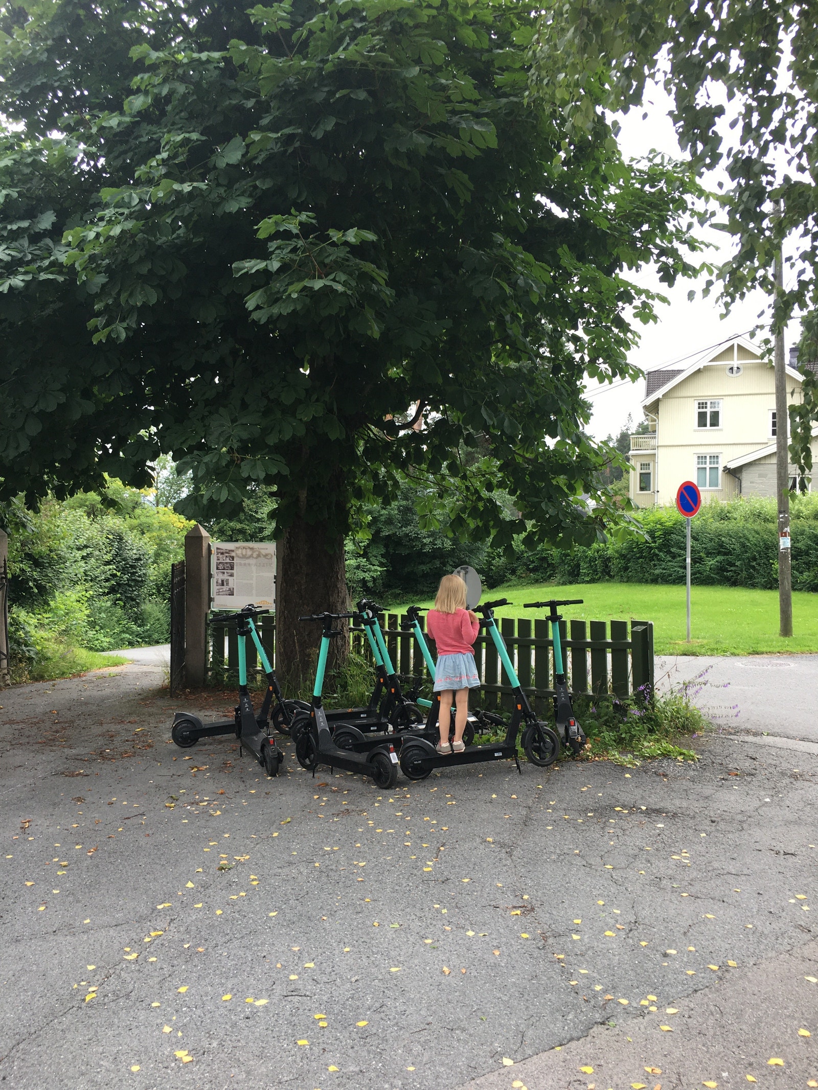 Tier har parkering for el-sparkesykler (aldersgrense er 16 år, men det er lov å drømme) Galleribilde